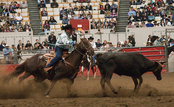 Grand National Rodeo