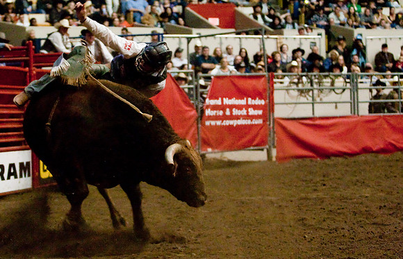 Grand National Rodeo