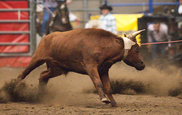 Grand National Rodeo