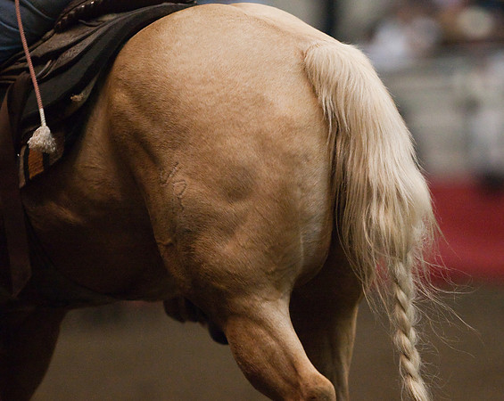 Grand National Rodeo