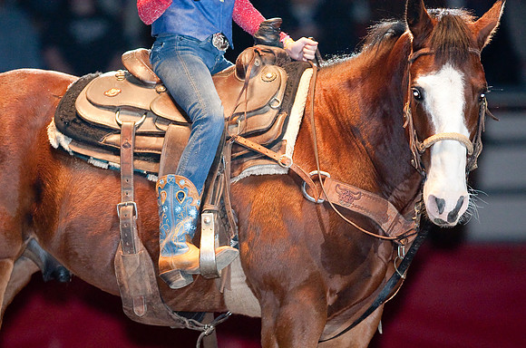 Grand National Rodeo