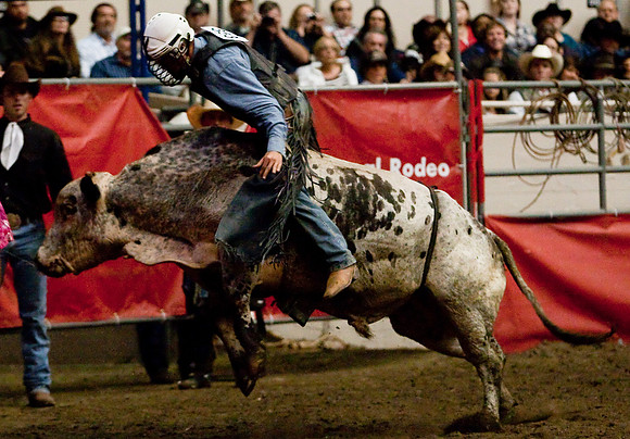 Grand National Rodeo