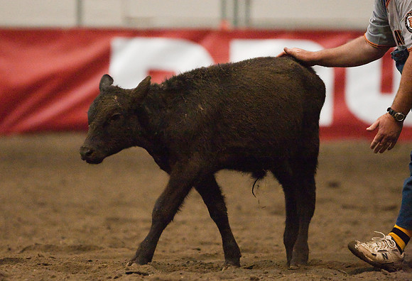 Grand National Rodeo