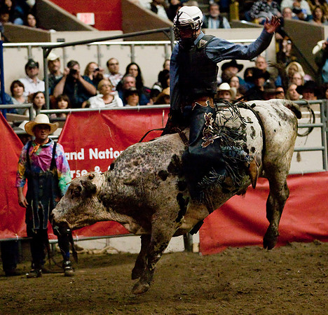 Grand National Rodeo