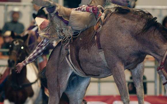 Grand National Rodeo