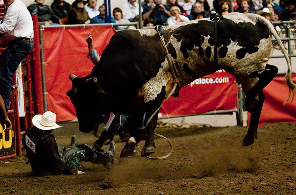 Grand National Rodeo