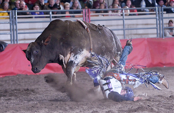 Grand National Rodeo