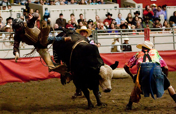 Grand National Rodeo