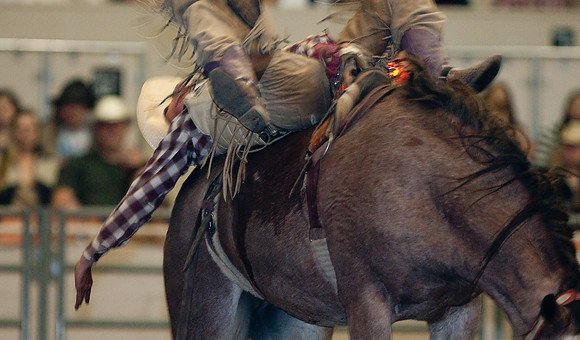 Grand National Rodeo