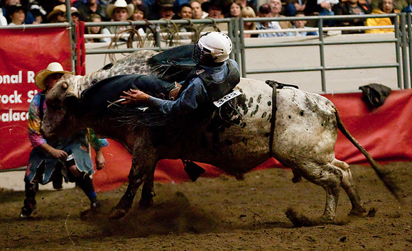 Grand National Rodeo