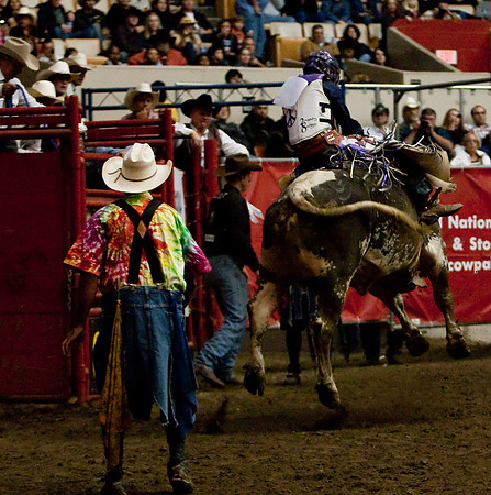 Grand National Rodeo