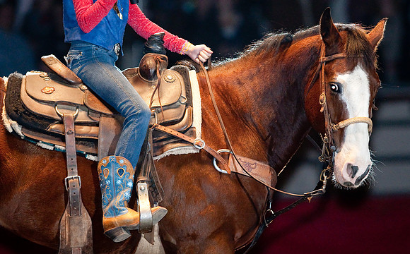 Grand National Rodeo