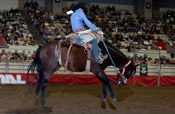 Grand National Rodeo