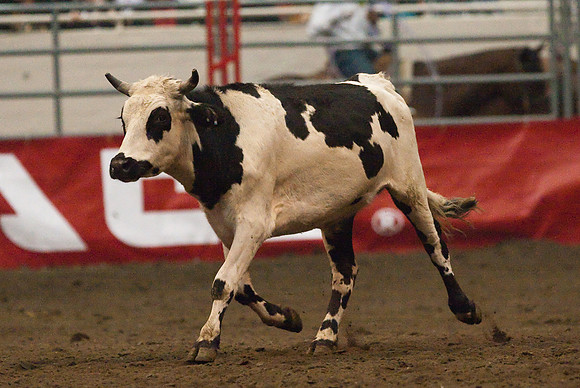 Grand National Rodeo
