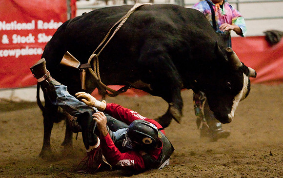 Grand National Rodeo