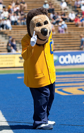 Cal Football vs UC Davis