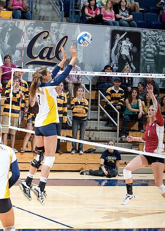 Cal Volleyball vs Washington State