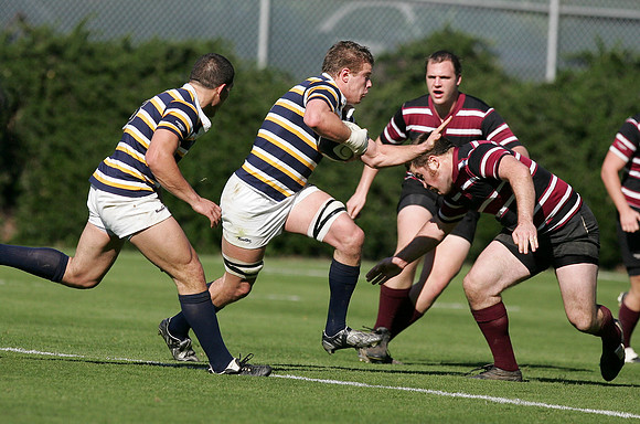 Cal Rugby vs Santa Clara