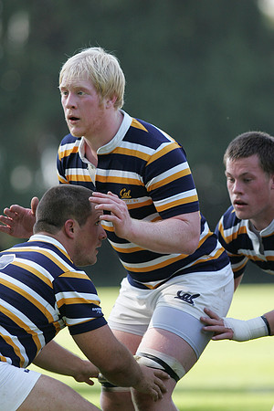 Cal Rugby vs Santa Clara