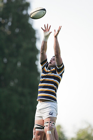 Cal Rugby vs Santa Clara