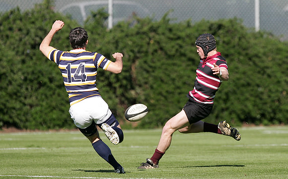 Cal Rugby vs Santa Clara