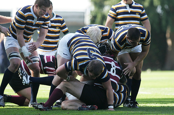 Cal Rugby vs Santa Clara