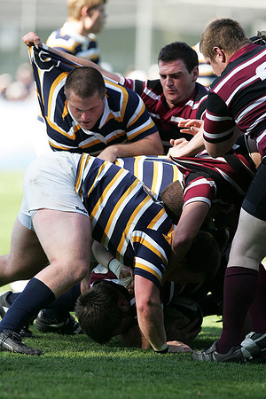 Cal Rugby vs Santa Clara