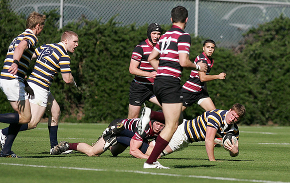 Cal Rugby vs Santa Clara