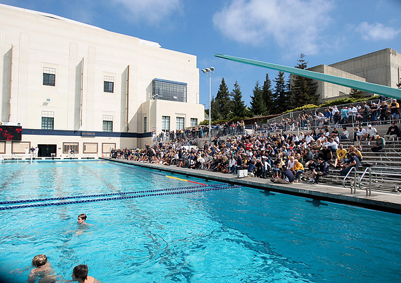 Cal Men's Water Polo