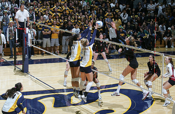Cal Volleyball vs Stanford