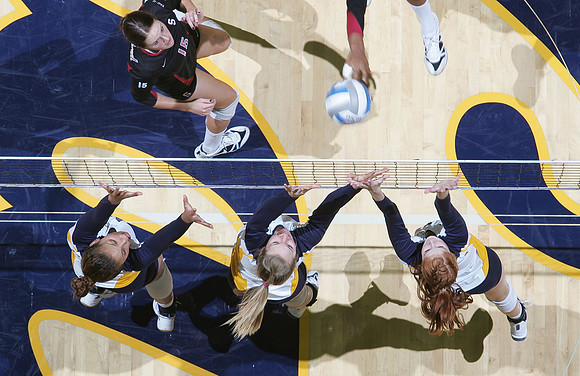 Cal Volleyball vs Stanford