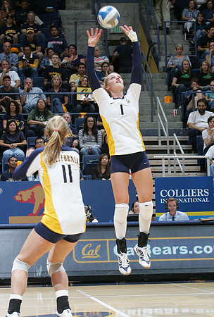 Cal Volleyball vs Stanford