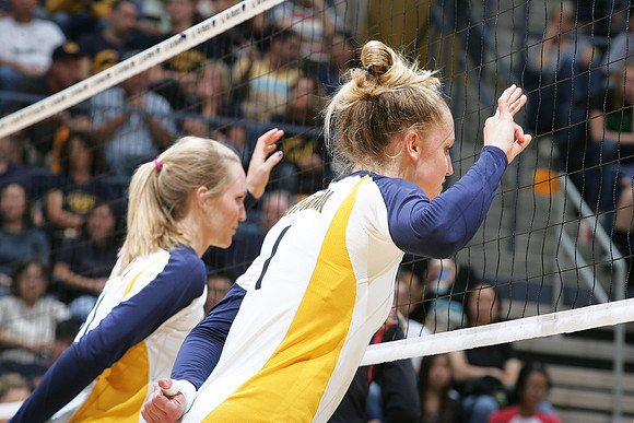 Cal Volleyball vs Stanford
