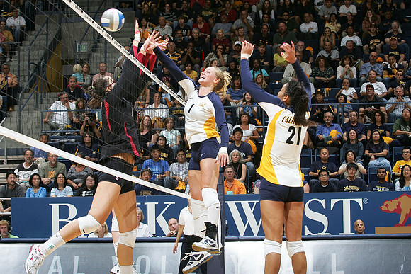 Cal Volleyball vs Stanford