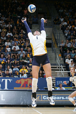 Cal Volleyball vs Stanford