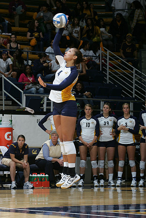 Cal Volleyball vs Stanford