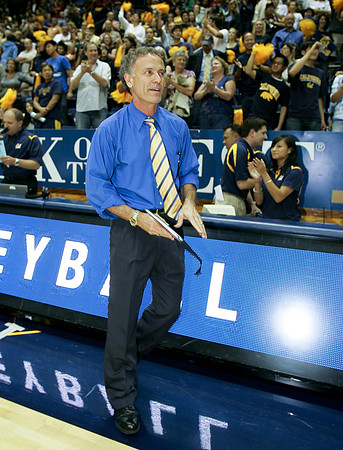 Cal Volleyball vs Stanford