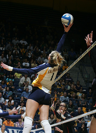 Cal Volleyball vs Stanford