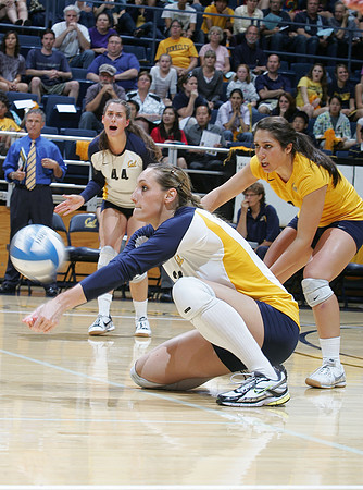 Cal Volleyball vs Stanford