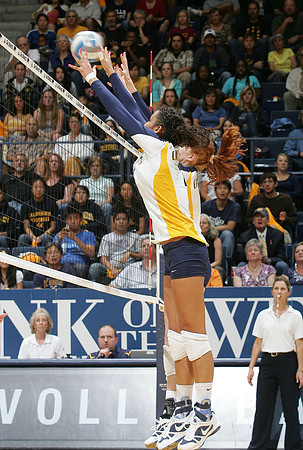 Cal Volleyball vs Stanford