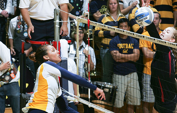Cal Volleyball vs Stanford