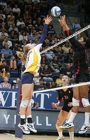 Cal Volleyball vs Stanford