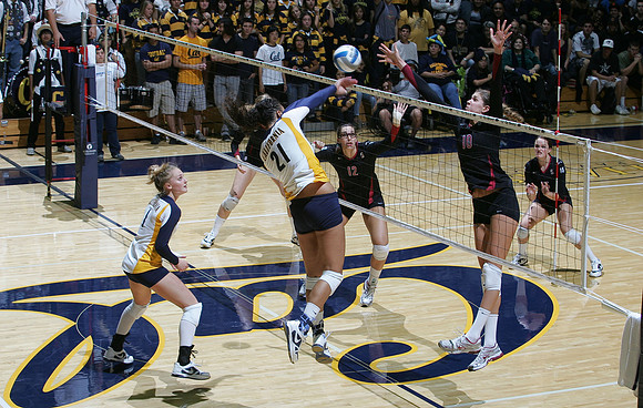 Cal Volleyball vs Stanford