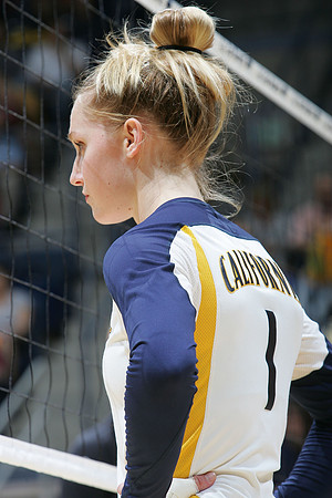 Cal Volleyball vs Stanford