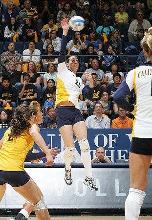 Cal Volleyball vs Stanford
