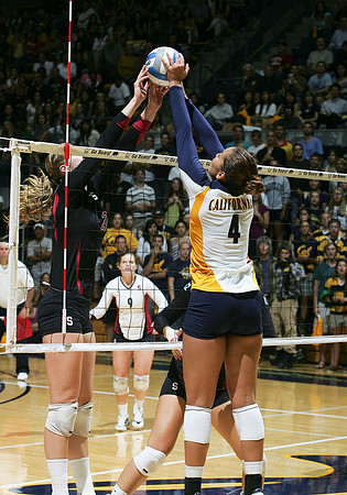 Cal Volleyball vs Stanford