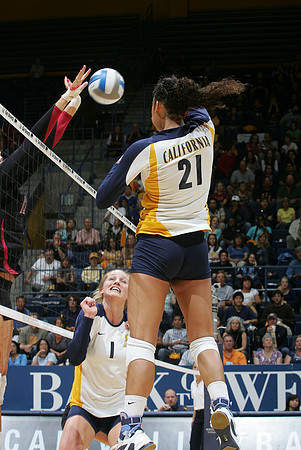 Cal Volleyball vs Stanford
