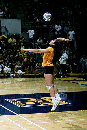 Cal Volleyball vs Stanford