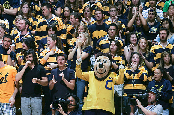 Cal Volleyball vs Stanford