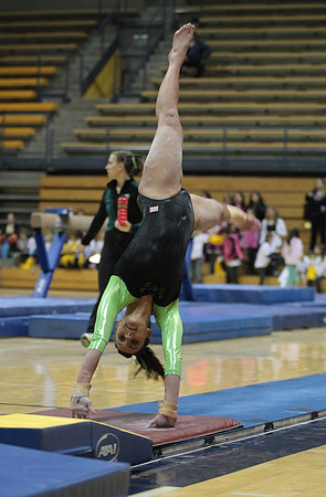 UAA Gymnastics